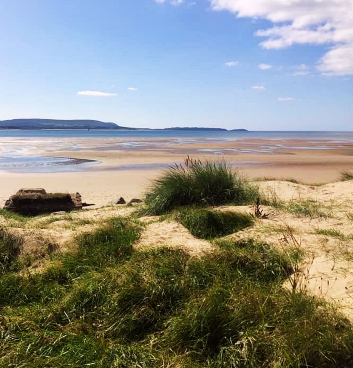 Millennium Coastal Park Millennium Coastal Park